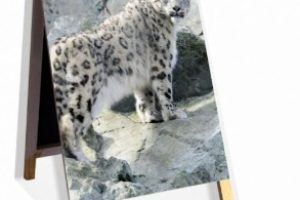 Imagem do WhatsApp de 2025-07-04 à(s) 09.47.55_f388012c