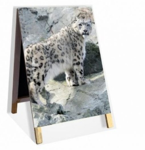 Imagem do WhatsApp de 2025-07-04 à(s) 09.47.55_f388012c