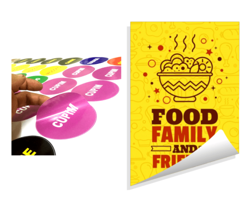 Inserir um título (6)